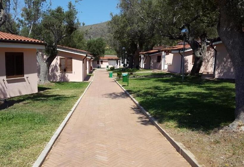 Студия Стандарт, Cilento Dreams Village