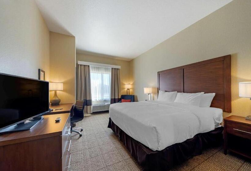 Номер Стандарт Кровать Кинг Адаптированный для Инвалидов, Comfort Inn & Suites Harrah