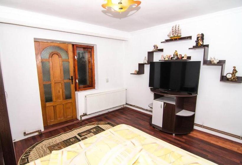 آپارتمان 1 خوابه, Casa Olanesti
