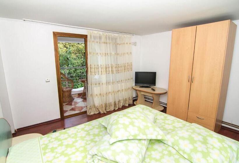 اتاق استاندارد با تخت بزرگ, Casa Olanesti