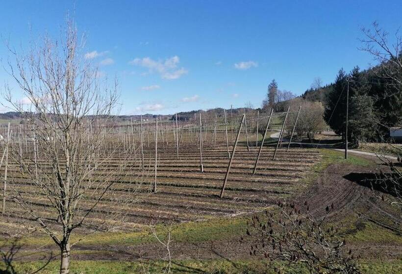 آپارتمان 2 خوابه, Ferienhof Hopfgärtle Müller