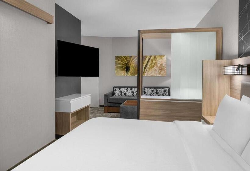 Люкс Кровать Кинг, Springhill Suites By Marriott Riverside Redlands