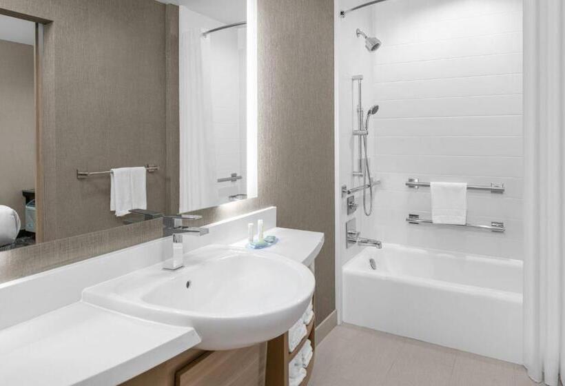 Люкс Адаптированный для Инвалидов, Springhill Suites By Marriott Riverside Redlands