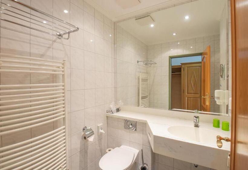 Номер Стандарт Индивидуальный, Ferien Hotel Fläming
