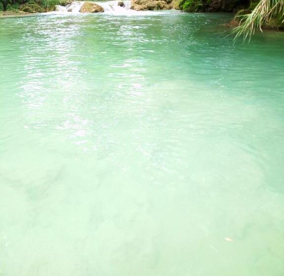 Семейный Номер, Sierraverde Huasteca Potosina The Cedar