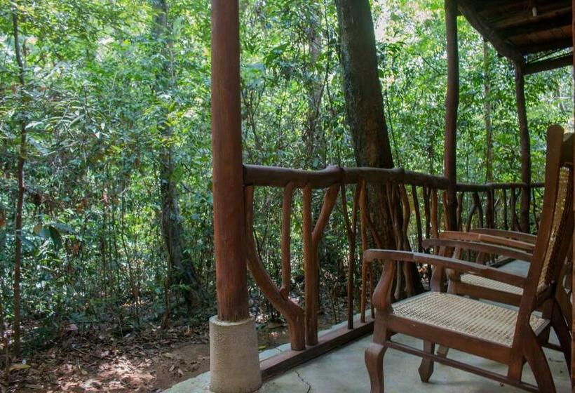 Семейный Номер, Jungle River