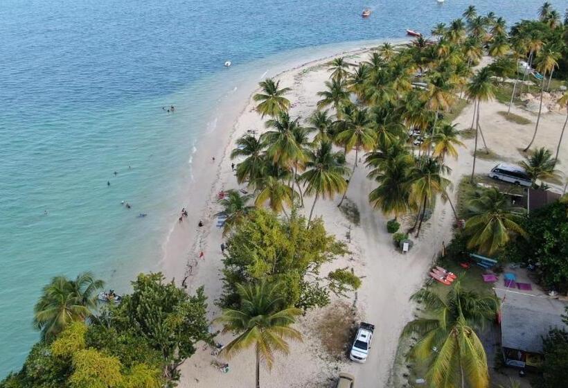 استودیوی استاندارد, Carolina Point Resort