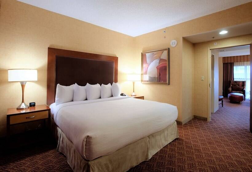 سوئیت پریمیوم, Embassy Suites By Hilton Charlotte Concord Golf Resort & Spa