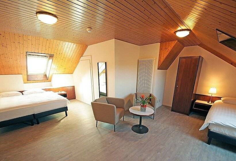 Номер Стандарт Трехместный, Galion Hôtel & Restaurant