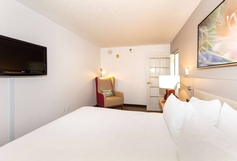 자쿠지 스위트, Hilton Garden Inn Daytona Beach Airport