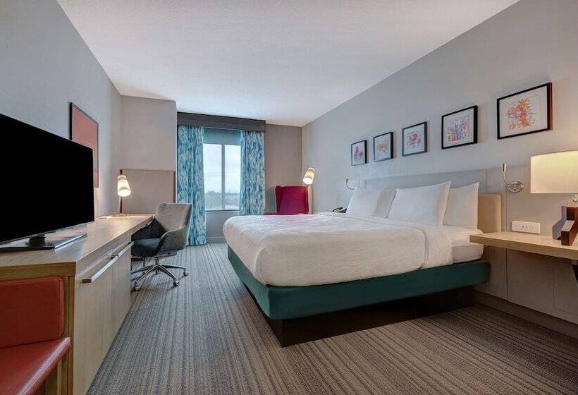 Люкс, Hilton Garden Inn Tampa Northwest/oldsmar