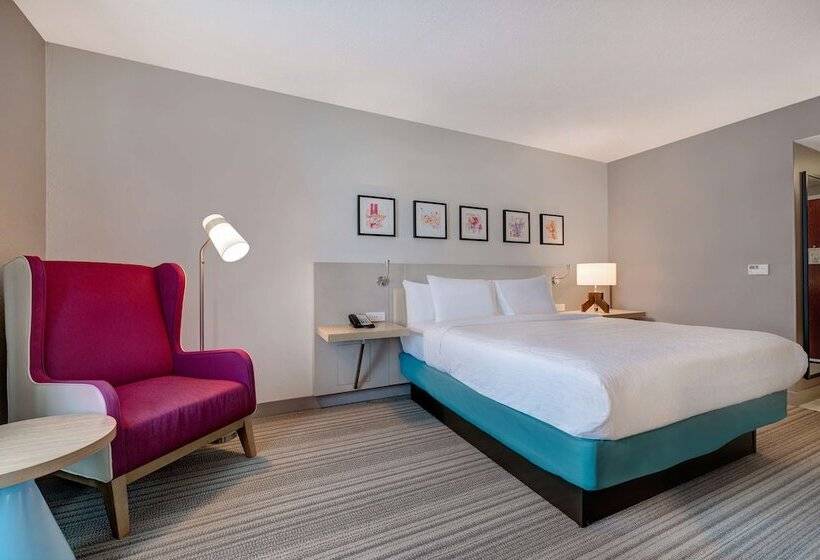 Номер Стандарт, Hilton Garden Inn Tampa Northwest/oldsmar