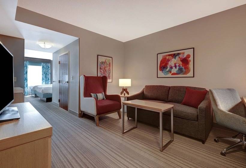 Номер Стандарт, Hilton Garden Inn Tampa Northwest/oldsmar