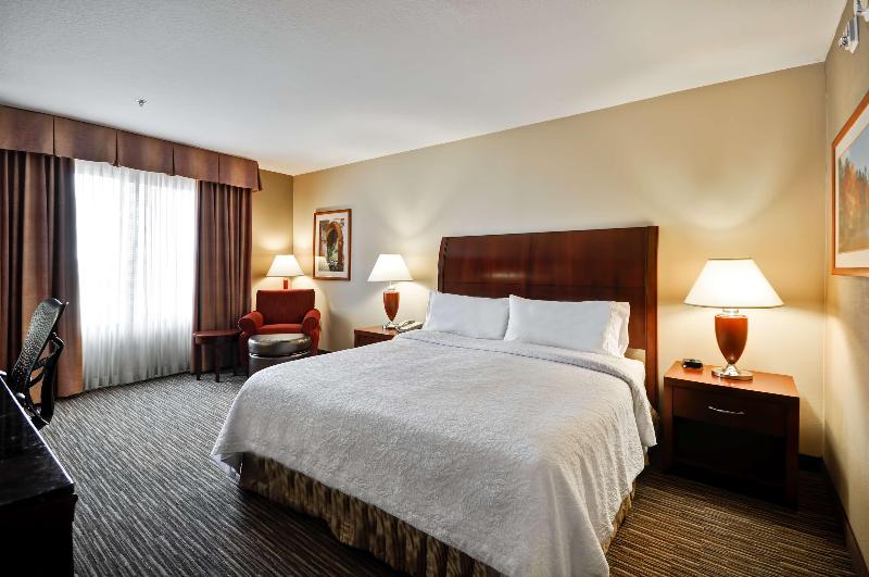 Люкс Кровать Кинг, Hilton Garden Inn Tampa Northwest/oldsmar