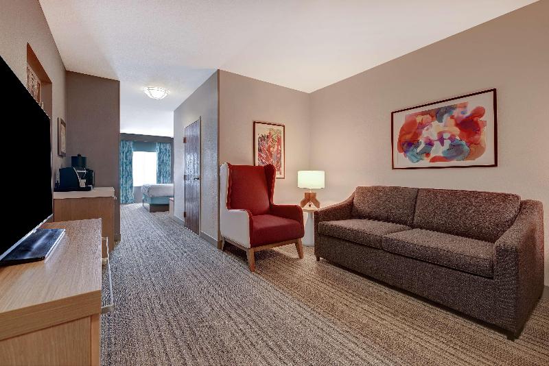 Люкс Кровать Кинг, Hilton Garden Inn Tampa Northwest/oldsmar