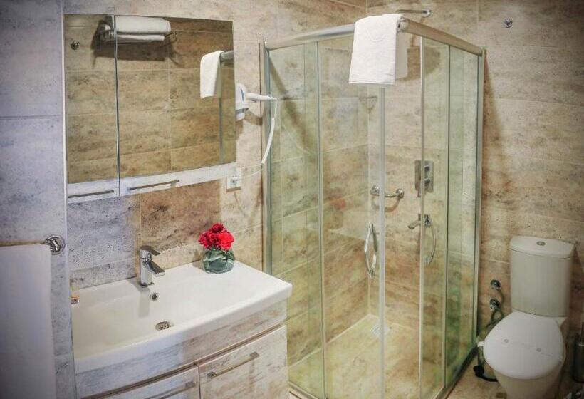 Трехместный Номер Базовый, Burçman Hotel Vişne