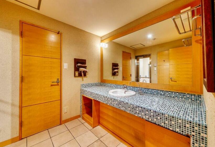 Номер Стандарт, Lotus Chiba  Adult Only