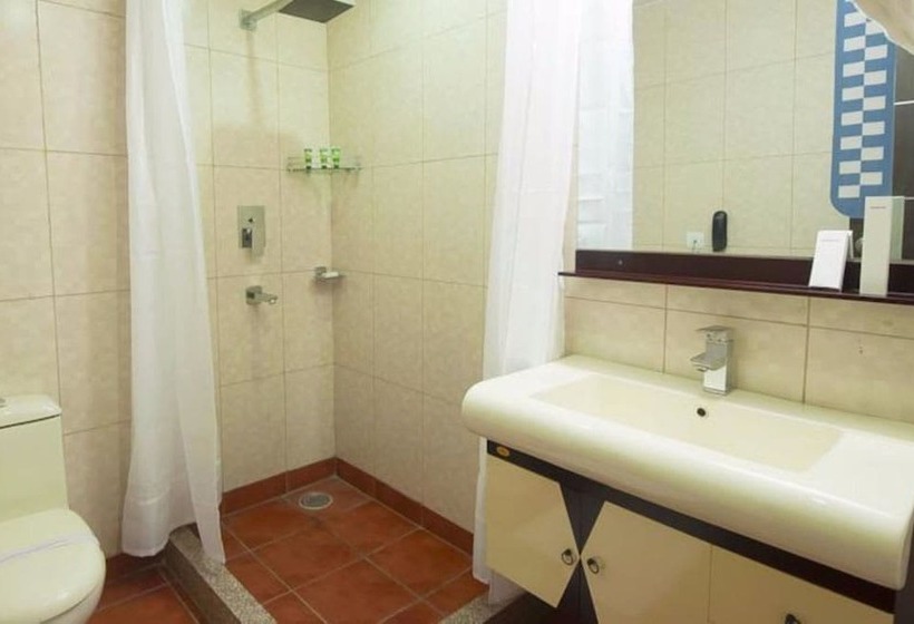 Deluxe Room, Zenith Hotel   Delhi Airport