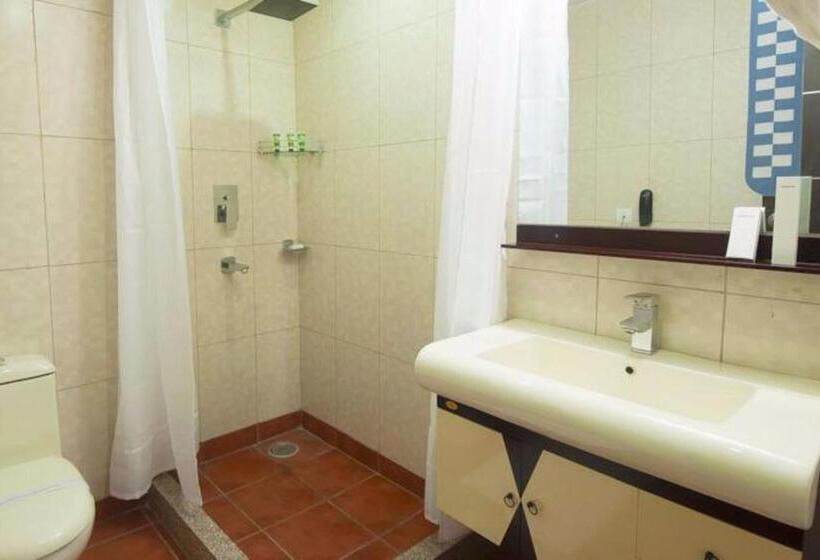 Deluxe Room, Zenith Hotel   Delhi Airport