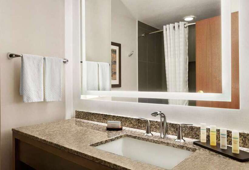 Suíte Deluxe, Embassy Suites By Hilton Dallas Dfw Airport North