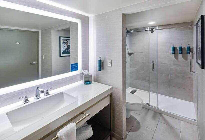 סוויטה דלוקס, Embassy Suites By Hilton Dallas Dfw Airport North