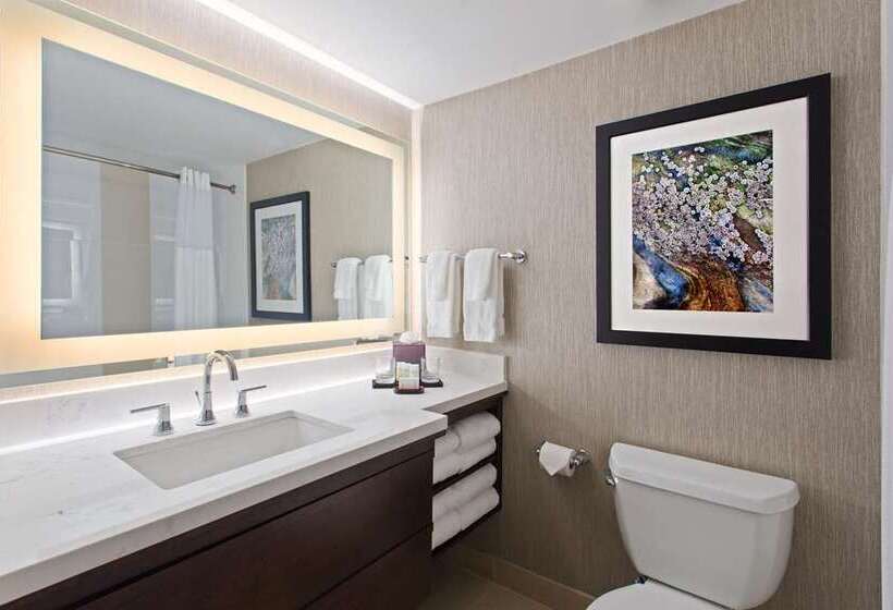 Suíte, Embassy Suites By Hilton Dallas Dfw Airport North