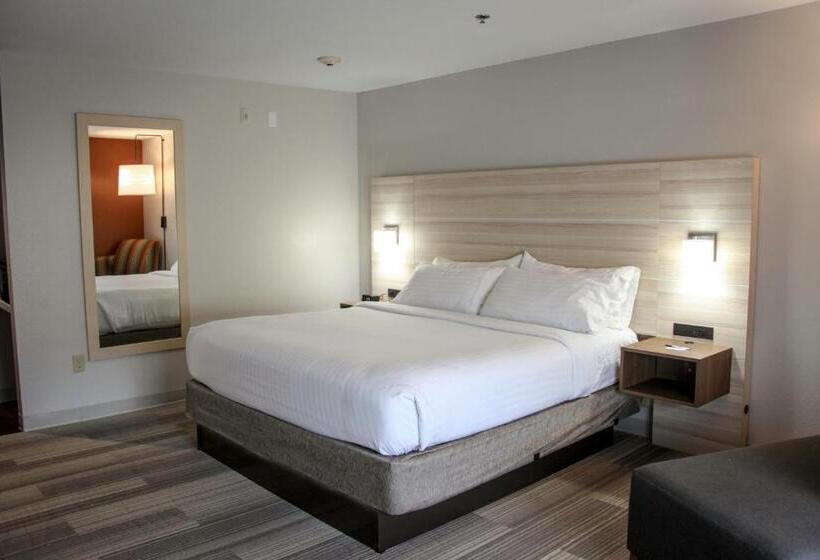 스탠다드 룸 킹사이즈 침대, Holiday Inn Express Hotel & Suites Athens, An Ihg
