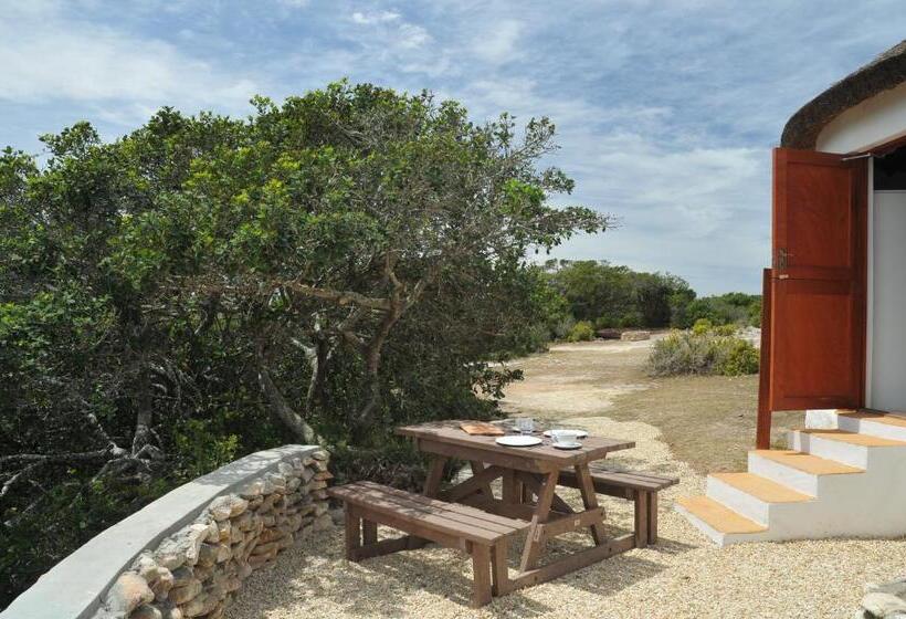 Бунгало Стандарт, De Hoop Collection   Campsite Rondawels