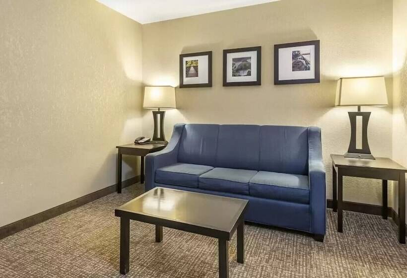 Люкс, Comfort Inn & Suites Allen Park  Dearborn