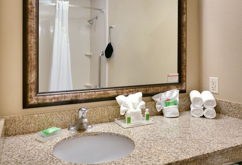 Номер Стандарт, Holiday Inn Hotel & Suites Salt Lake City Airport West By Ihg