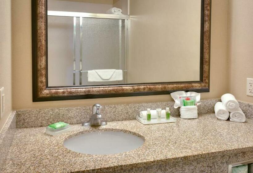 Номер Executive Кровать Кинг, Holiday Inn Hotel & Suites Salt Lake City Airport West By Ihg