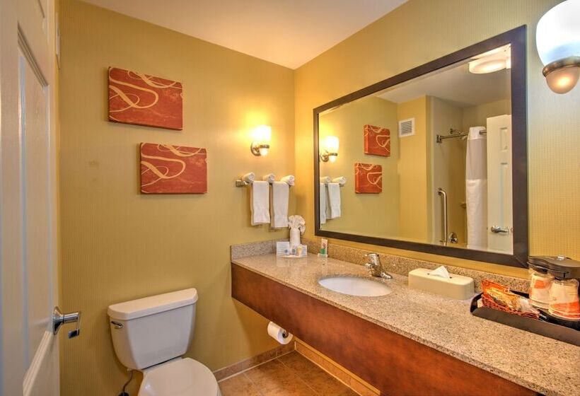 스위트, Comfort Suites Urbana Champaign, University Area