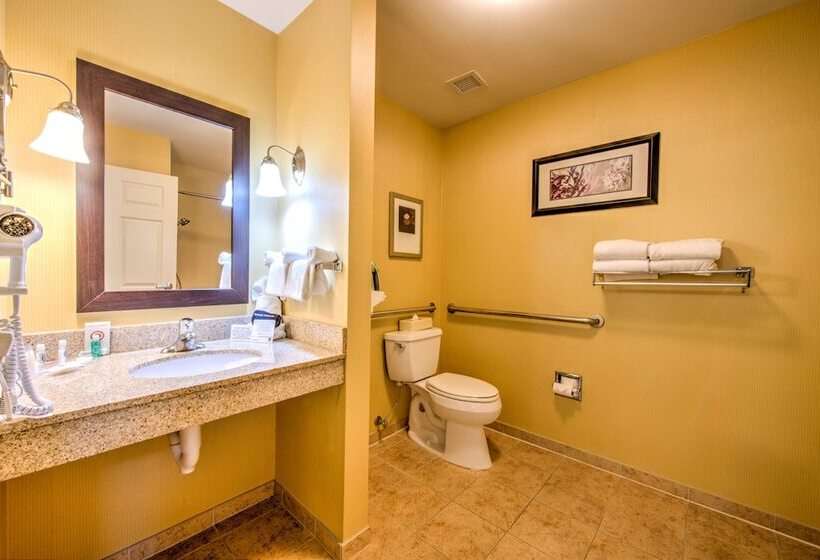 장애인을 위한 스위트, Comfort Suites Urbana Champaign, University Area