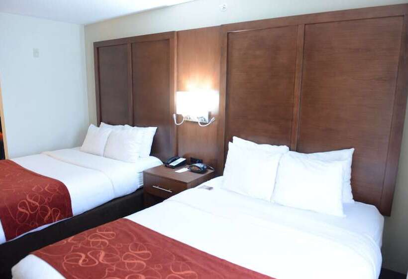 장애인을 위한 스위트, Comfort Suites Urbana Champaign, University Area