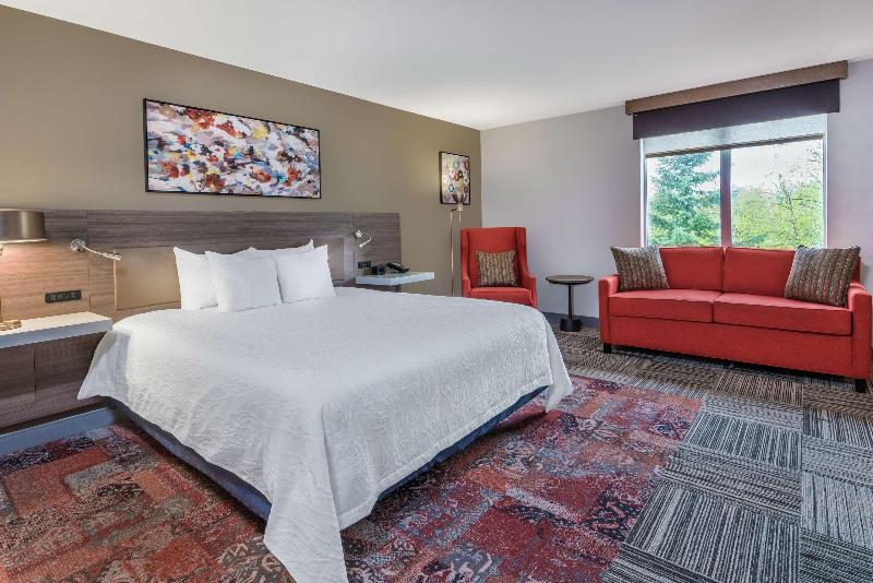 Habitació Estàndard Llit King, Hilton Garden Inn Syracuse