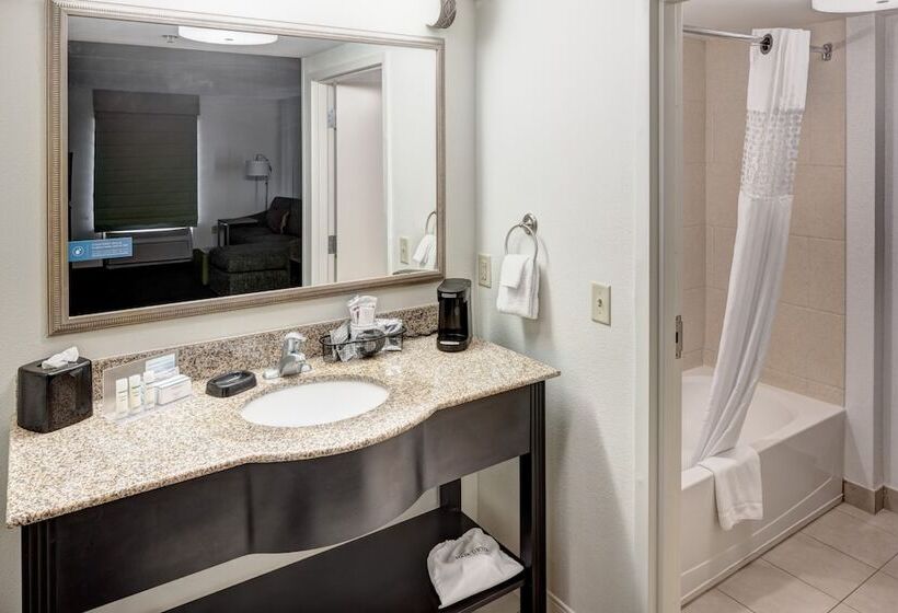 Студия Стандарт, Hampton Inn & Suites Gainesvilledowntown
