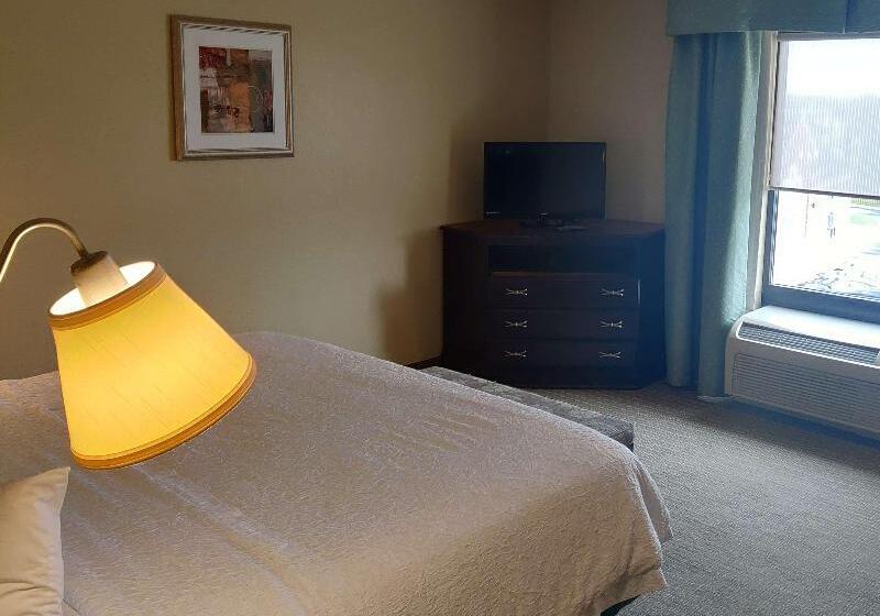 Стандартный Номер Кровать Кинг, Hampton Inn Rochesterirondequoit