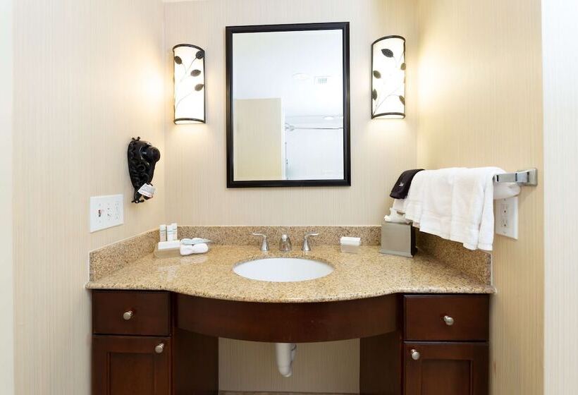 Люкс Адаптированный для Инвалидов, Homewood Suites By Hilton Lawrenceville Duluth