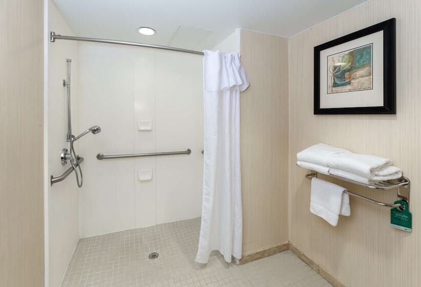 Люкс Адаптированный для Инвалидов, Homewood Suites By Hilton Lawrenceville Duluth