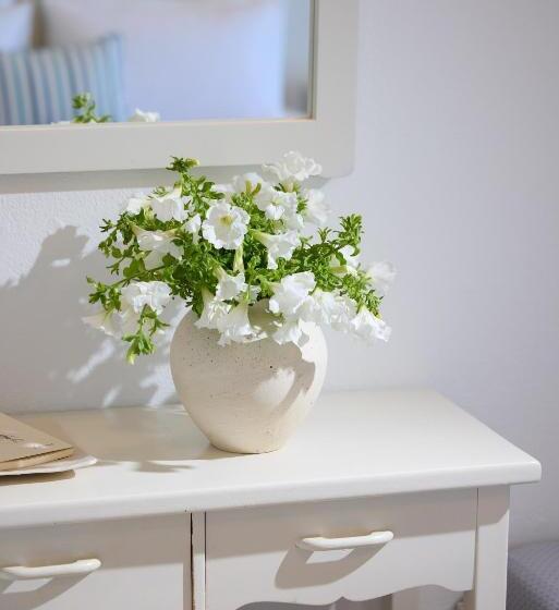 Студия Стандарт, Leda Village Resort