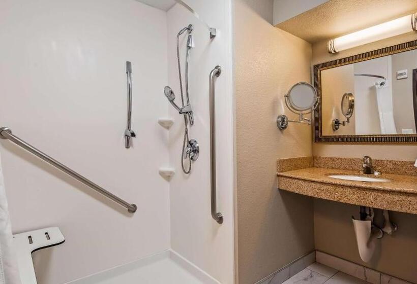 اتاق استاندارد با تخت بزرگ, Best Western Plus Henderson