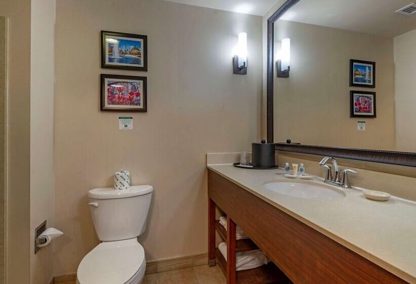 Люкс, Comfort Suites Lake Norman  Huntersville