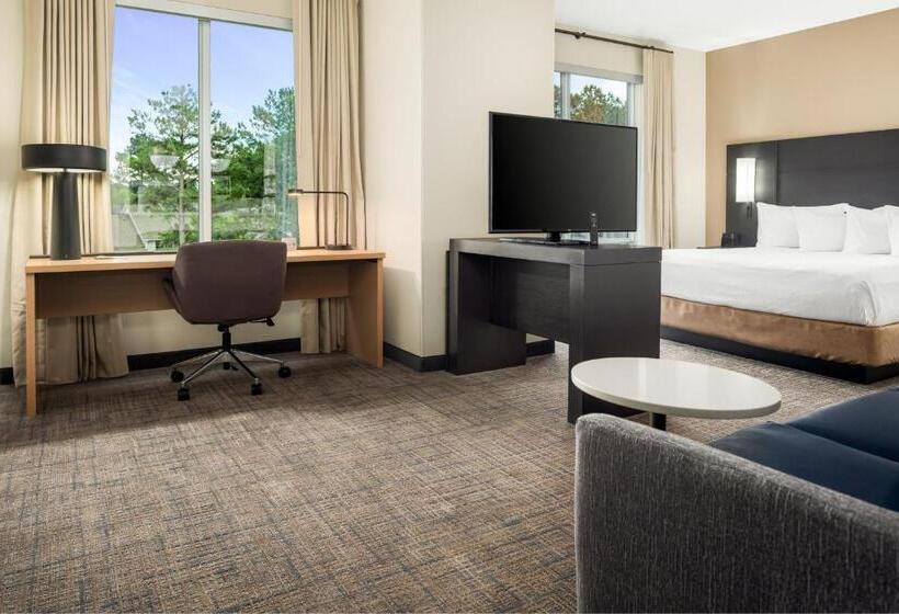 استودیو استاندارد با تخت کینگ, Residence Inn By Marriott Decatur Emory Area