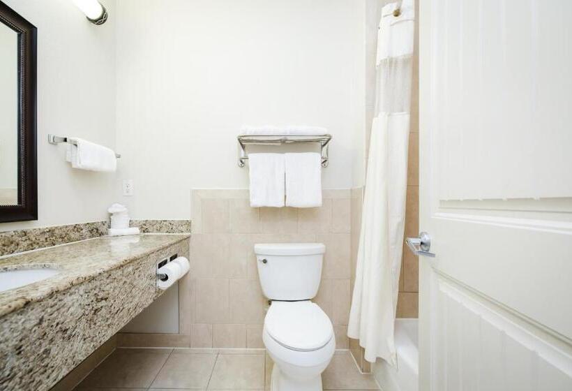 스탠다드 룸 킹사이즈 침대, Best Western Sugar Land   Richmond