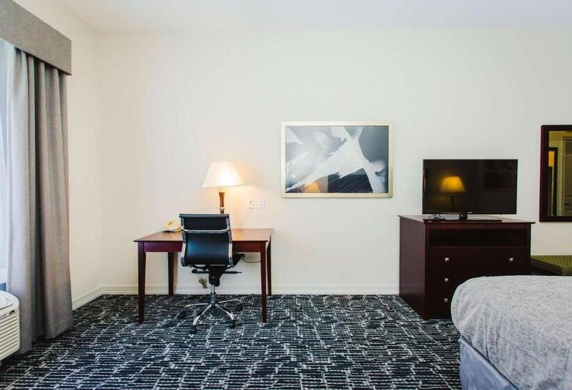 스탠다드 룸 킹사이즈 침대, Best Western Sugar Land   Richmond