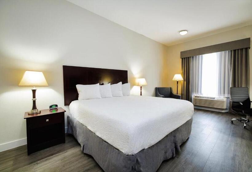 스탠다드 룸 킹사이즈 침대, Best Western Sugar Land   Richmond