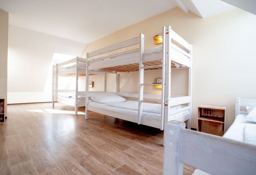 공동 객실, Wombat S City Hostel Vienna Naschmarkt