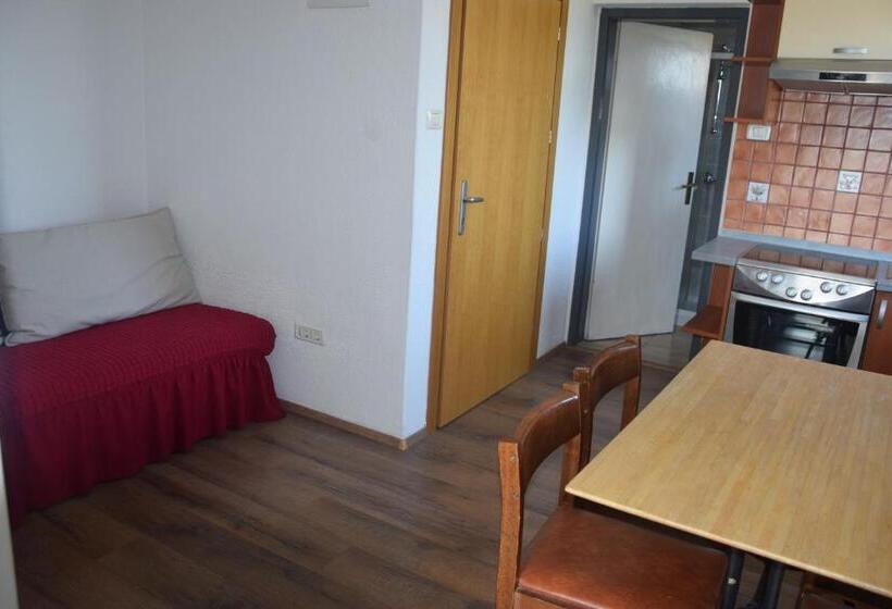 آپارتمان 1 خوابه با چشم‌انداز باغ, Hostel Panorama Portorož