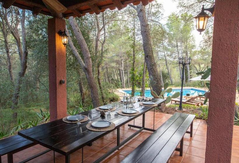 اتاق استاندارد با چشم‌انداز باغ, Aldeamia, Forest, Mountain View, Beach At 8 Min