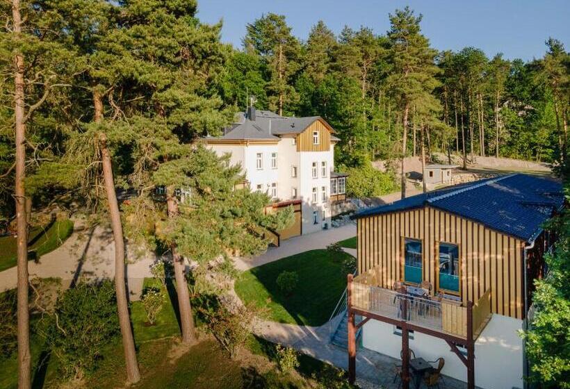 Апартаменты 1 Спальня с Террасой, Waldidylle Gohrisch, Pension Und Ferienwohnungen